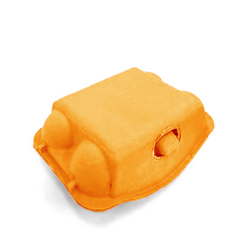 6 Pack Egg Carton - Orange